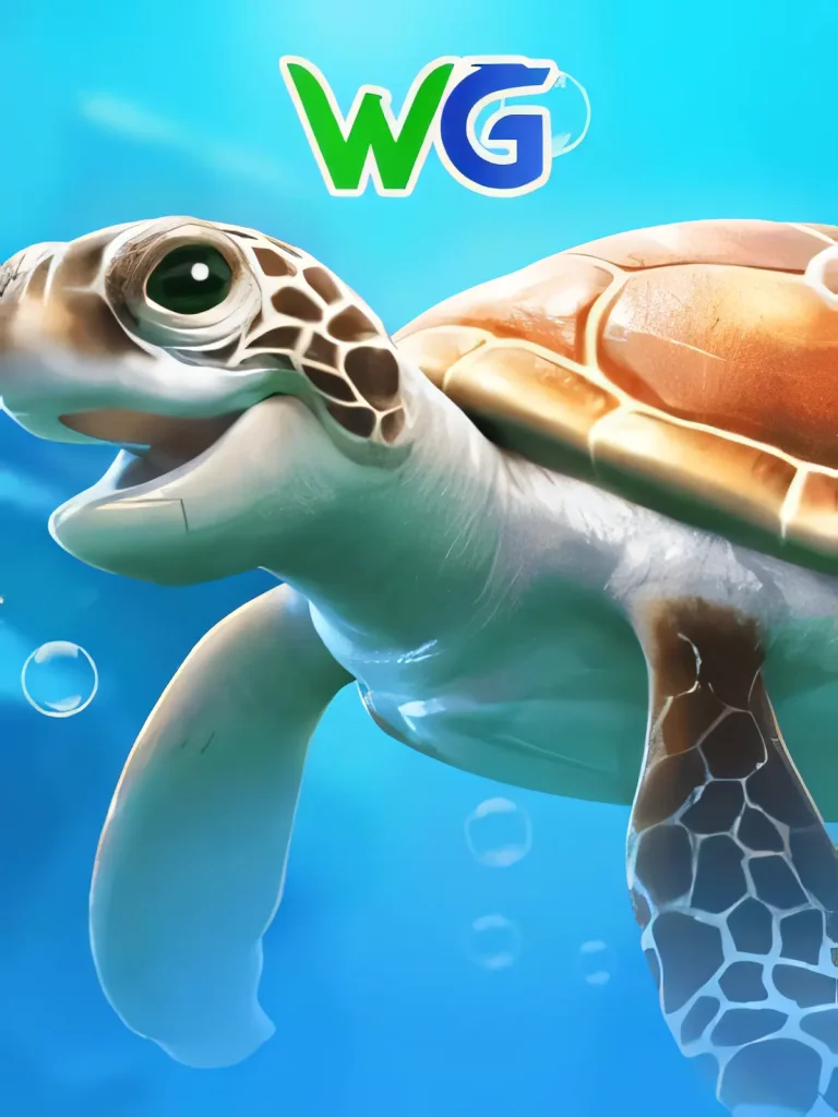 kebet-mrturtle